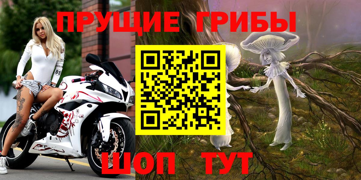 Старая Русса  Псилоцибиновые грибы прущие грибы  Вход с VPN  Галлюциногенные грибы Magic Shrooms 